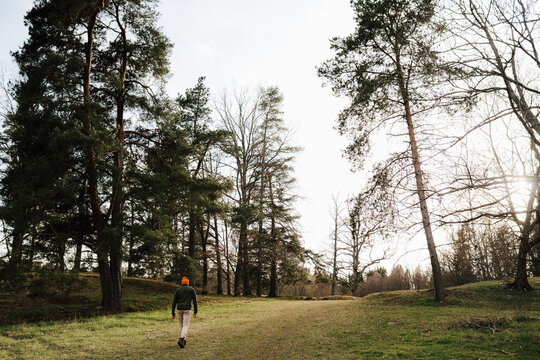 Man går mellan träd på äng i skog