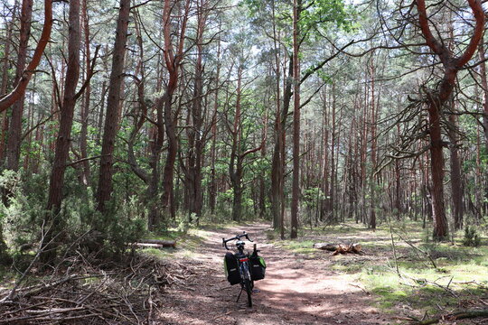 Rowerowy szlak wschodni na Mazowszu