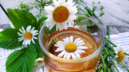 Chamomile and chamomile tea. Medicinal chamomile in a cup with infusion. Cool summer drink.