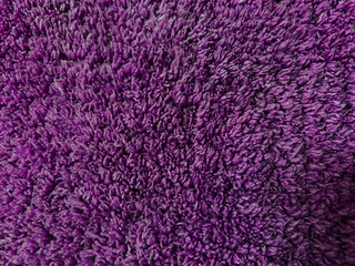 purple clean wool  texture background. light natural sheep wool. purple seamless cotton. texture of fluffy fur for designers. close-up fragment purple wool carpet.