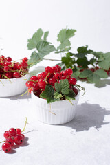 Freshly picked red currants in a bowl and summer berries on a white plate in sunlight.