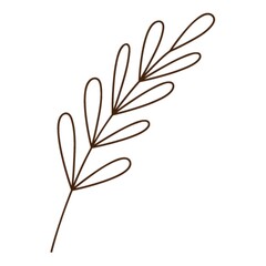 Abstract twig with leaves. A blade of grass. Botanical, plant design element with outline. Doodle, hand-drawn. Flat design. Black white vector illustration. Isolated on a white background.