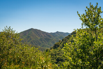 Fototapeta premium Los Padres National Forest, California