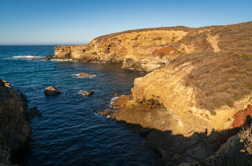 The coast at Point Lobos in California