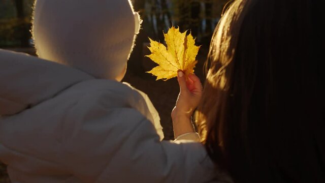 Mom and baby examine a yellow maple leaf