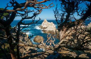 The coast at Point Lobos in California