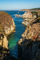 The coast at Point Lobos in California