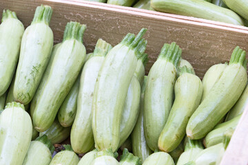 petites courgettes verte sur un marché
