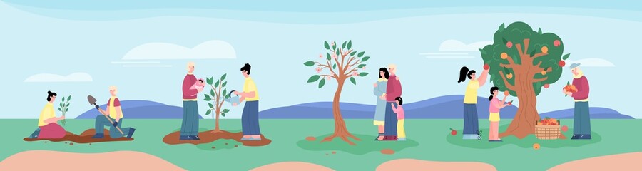 Life line of people and fruit tree from seed to harvest from large plant.