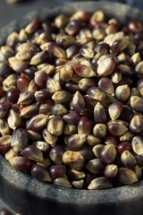 Raw Dry Organic Purple Popcorn