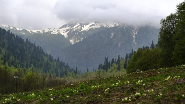Timelapse of Beautiful Spring Hill Over Snowy Mountains in Cloudy Day