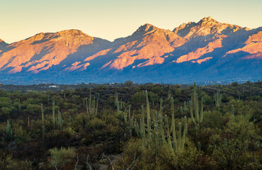 Sunrise at Saguaro National Park in Southern Arizona