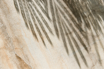 Naklejka na ściany i meble Tropical shadow on the beige wall. Minimal summer travel background