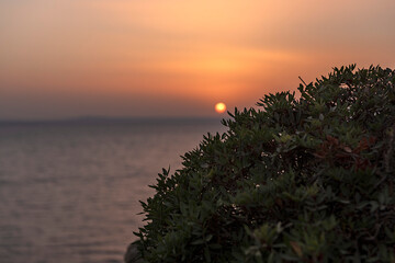 The ancient city of Knidos is one of the most important western Anatolian coastal cities. It is within the borders of Yazı Village, Datca District of Mugla Province.
