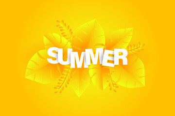 Fototapeta na wymiar Summer banner design background template vector