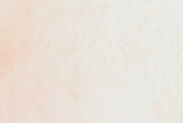 abstract color background texture with paper background