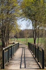 Fototapeta na wymiar Bridge with green metal railing and wooden floor in the park