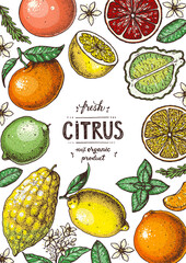 Fresh citrus frame. Hand drawn vector illustration. Organic food, citrus design template. Colored illustration. Citrus collection.