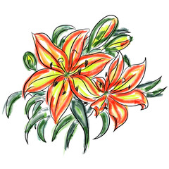 flower lily watercolor