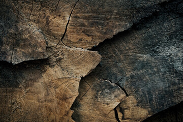 Old wooden background. Timber texture
