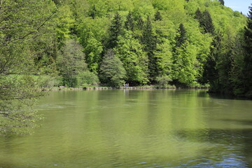 Lac de barrage et forêt vertes