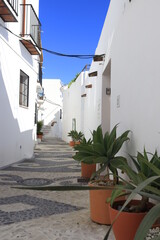 Plants in a narrow street of white houses, La Axarquia, Malaga, Spain