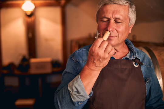 Handsome winemaker enjoying the scent of wine cork