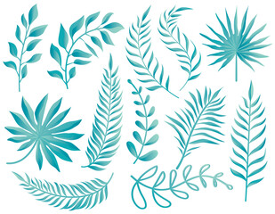 Fototapeta na wymiar Collection of turquoise leaves, fern leaf, fan palm. Nature leaves collection. Set of Tropical leaves, Vector illustration.