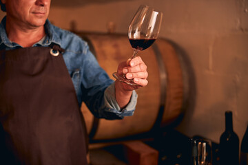 Male winemaker holding glass of red wine