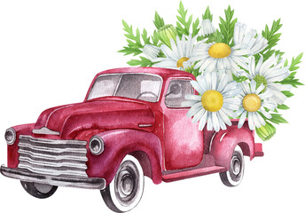 Watercolor farm truck with daisy. Watercolor retro truck with wildflowers. Vintage truck illustration