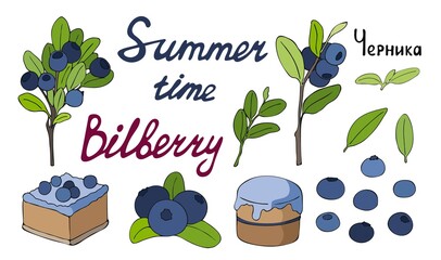 A large set of color images of blueberries, twigs and desserts. Vector hand drawn flat isolated illustration. Handwritten lettering for your design.