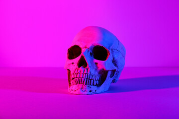 Human skull on dark color background