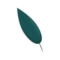 Willow leaf in flat style, vector illustration of bright autumn leaves, isolated.