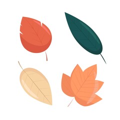 Set of autumn leaves in flat style, vector illustration of bright autumn leaves, isolated.