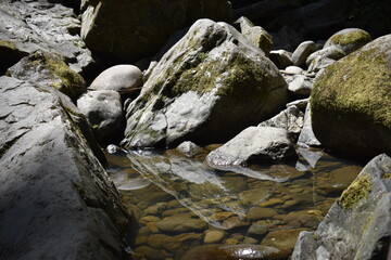 rock reflections in the forest