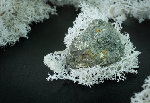 Arsenopyrite from China or Indonesia. Natural mineral stone on a black background surrounded by moss. Mineralogy, geology, magic, semi-precious stones and samples of minerals. Close-up macro photo