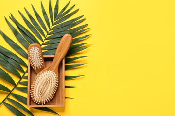 Box with hair brushes and palm leaf on color background