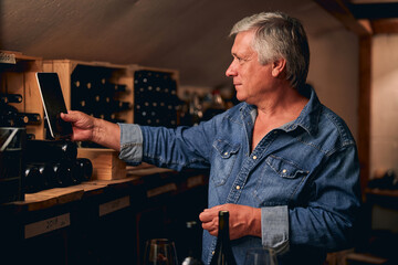 Calm man with tablet taking photos in winery cellar