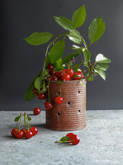 Ripe cherries with leaves in an old tin can