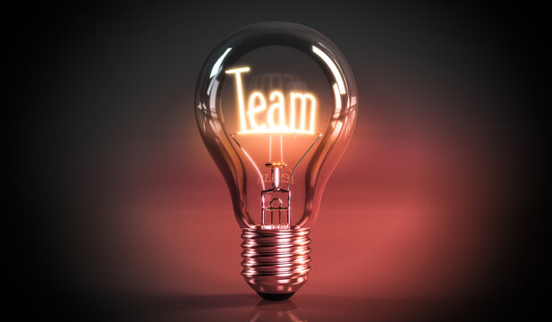 Team concept - shining light bulb - 3D illustration