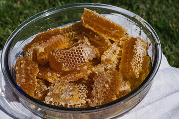 close up of a honeycomb in a glass bowl