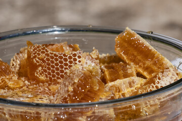 close up of a honeycomb in a glass bowl