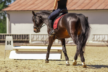 girl trains in an open area on a bay horse. Studying the dressage scheme