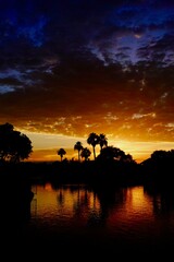 A silhouette of palm trees reflecting on a lake during an orange colored sunset.