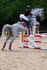 show jumping competitions. The horse overcomes high obstacle