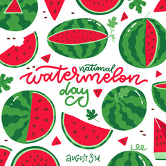 National Watermelon Day square card at the white background. many fresh juicy red fruits with lettering text. Vector flat hand drawn illustration.
