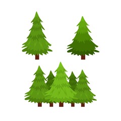 green pine tree vector collection