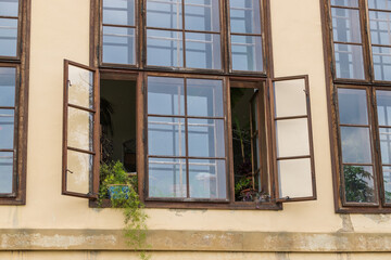 Open window of the building. There are green flowers in the window.