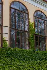 Tall arched windows. Green flowers grow around the windows on the wall.