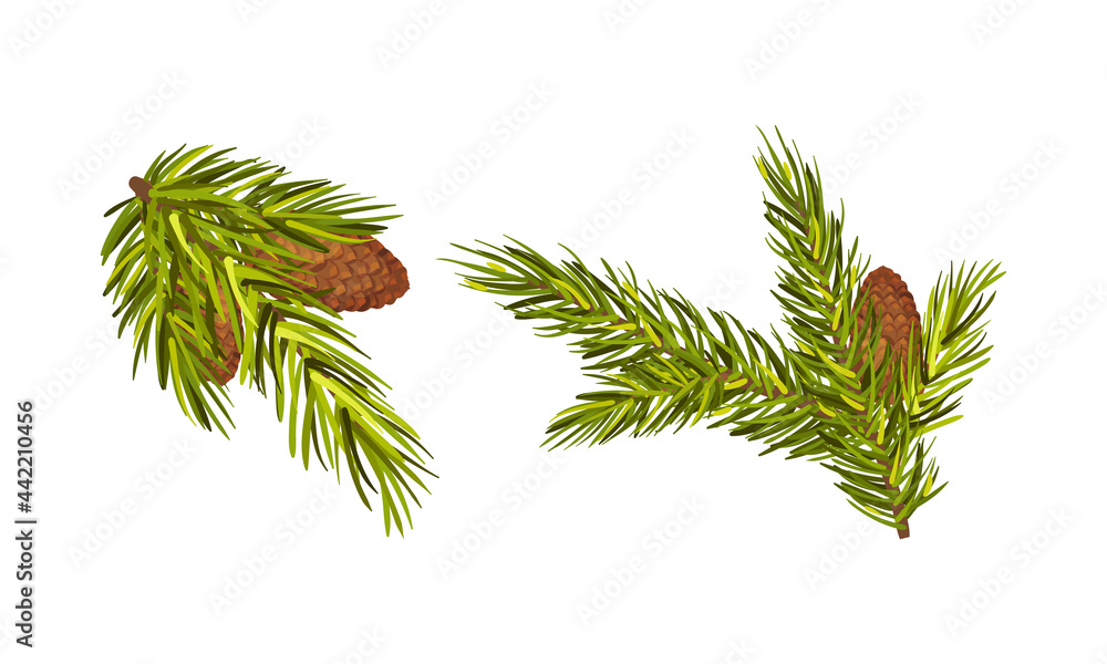 Poster fir tree branches with fir cones hanging from it vector set